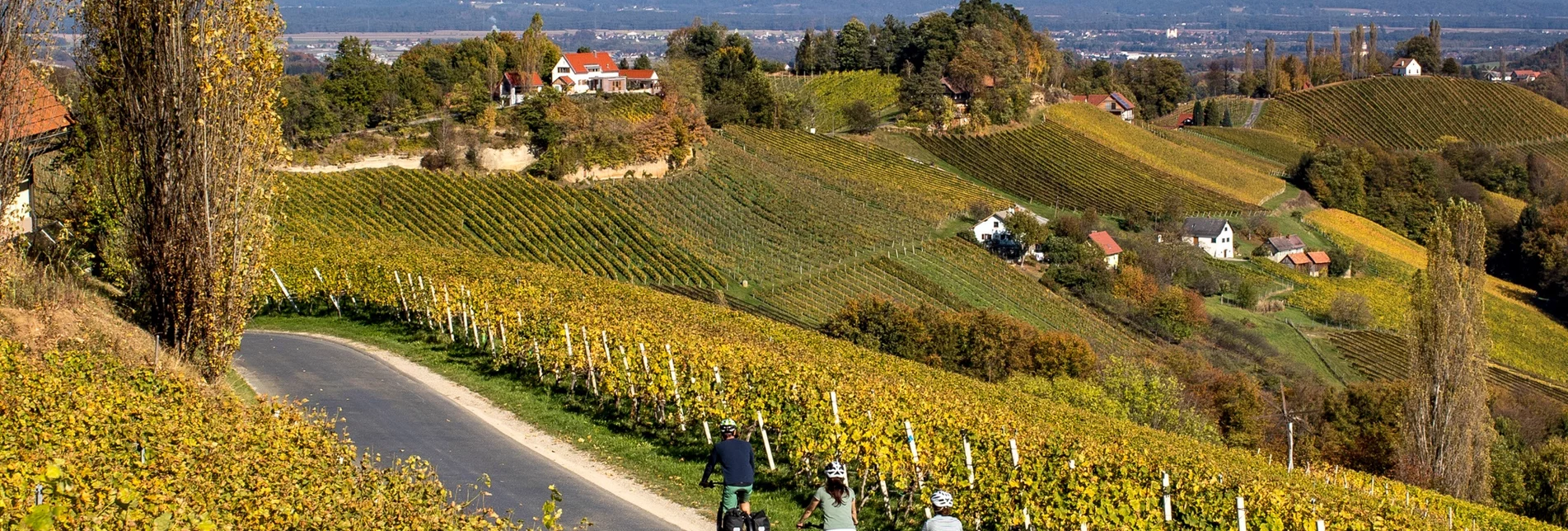 Bike Riding Styrian Wine Country Cycling Trail - Variant Southern Styria-Schilcherland - Touren-Impression #1 | © (c) Steiermark Tourismus/Tom Lamm